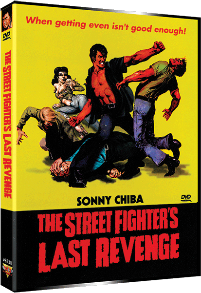 STREET FIGHTER’S LAST REVENGE, THE