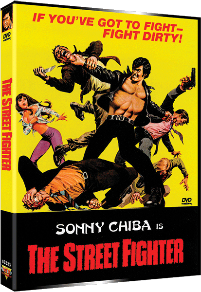 STREET FIGHTER, THE