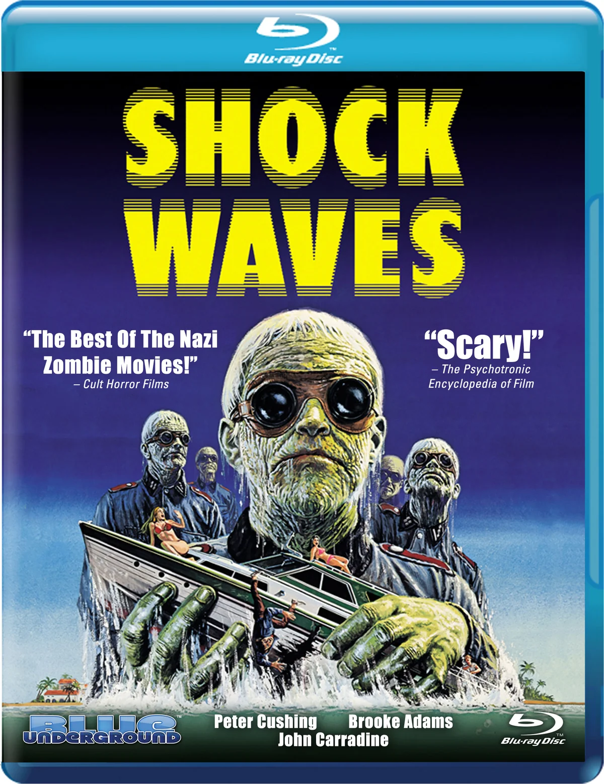 SHOCK WAVES