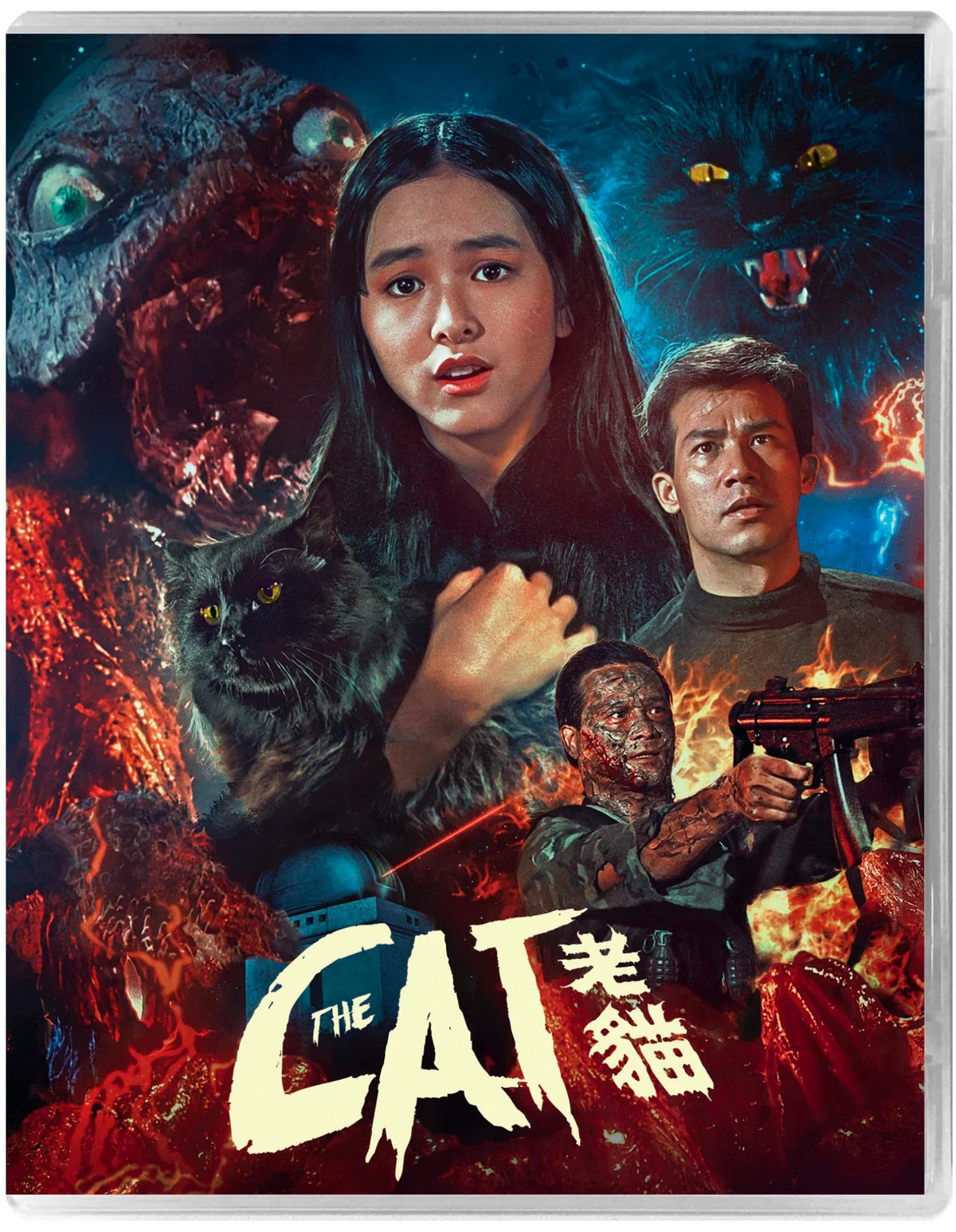 THE CAT